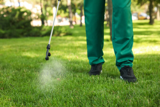 Best Pest Control for Homes  in Franklin, PA