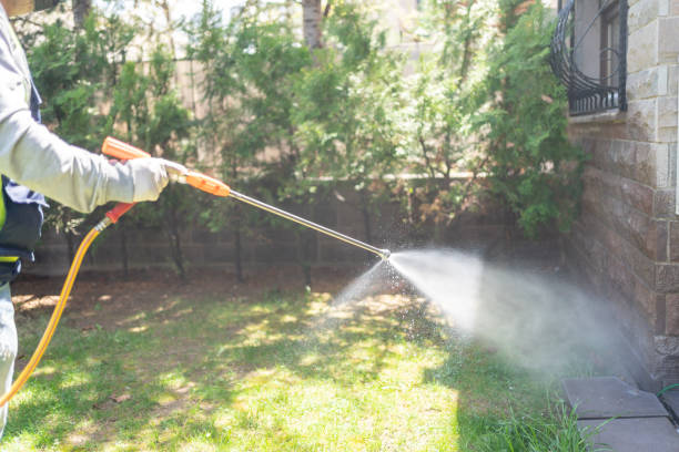 Best Pest Prevention Services  in Franklin, PA