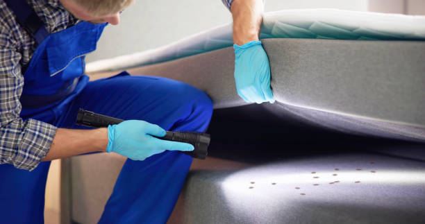 Best Affordable Pest Control Services  in Franklin, PA