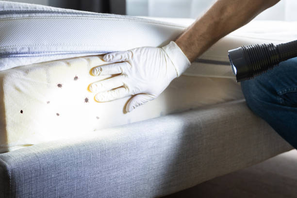 Pest Control for Restaurants in Franklin, PA