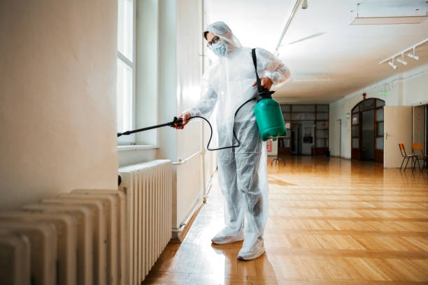 Best Rat Extermination Near Me  in Franklin, PA
